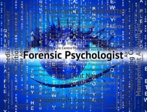 bachelors forensic psychologist