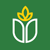 union institute and university