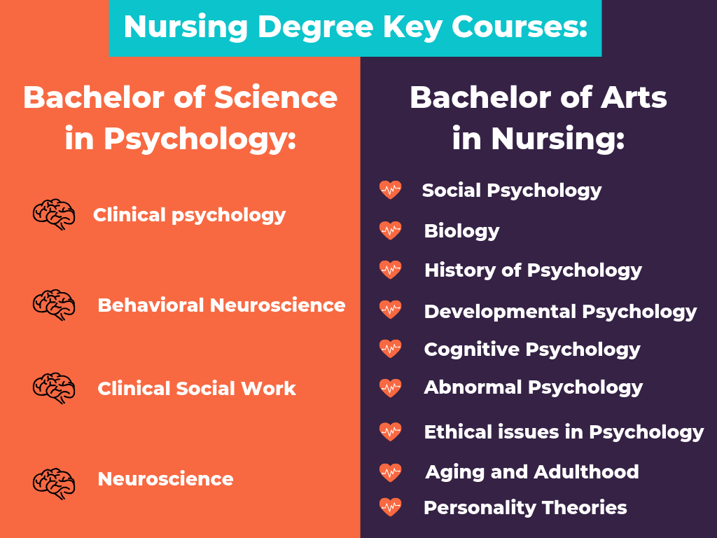 Bachelor psychology job opportunities