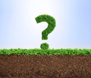 online bachelors environmental sciences