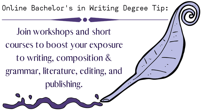 bachelors in writing