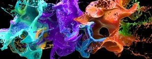 8 Best Schools for Online Bachelor's in Animation Degree Programs ...