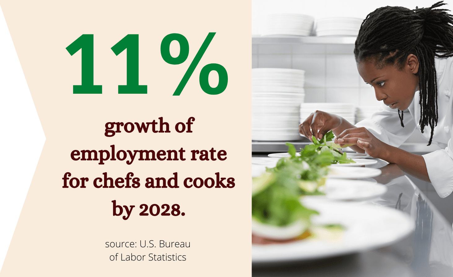 chef employment rate