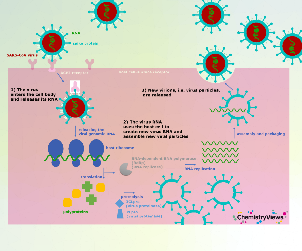 superbugs