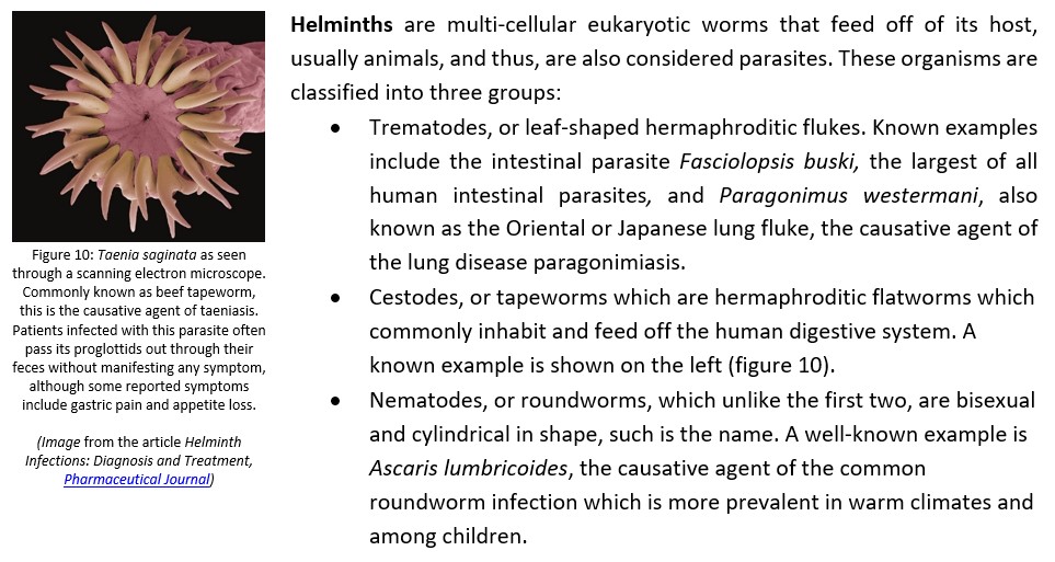 Helminths