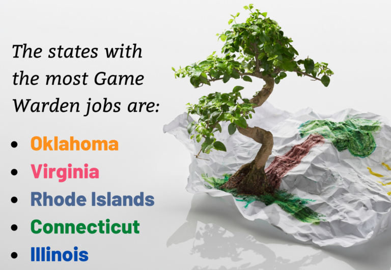 Best Bachelor’s Degrees for A Game Warden in 2021