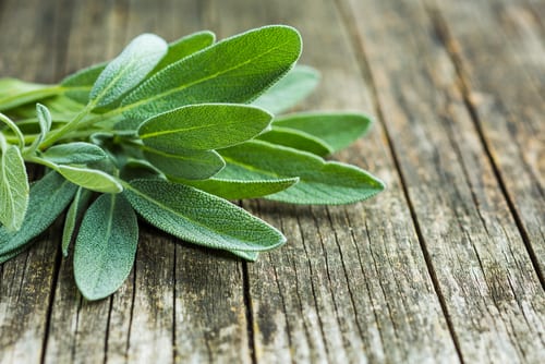 superfood sage