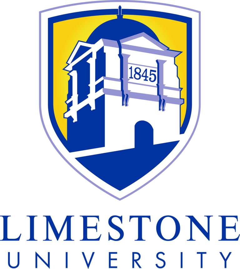 The Best Online Schools for Bachelor's in Computer Programming Online