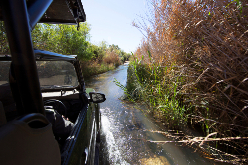 Bachelor's in Criminal Justice - enforcing fish and wildlife laws
