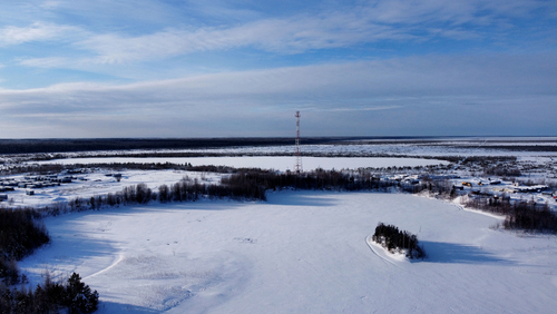 field of biology