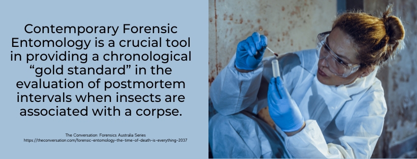 Best Online Bachelor's in Forensic Entomology - fact
