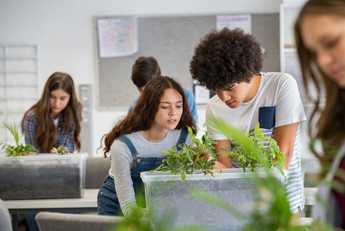 Best Online Schools for Bachelor's in Environmental Sciences