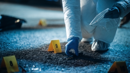 Best Online Schools for Bachelor's Degree in Crime Scene Investigation